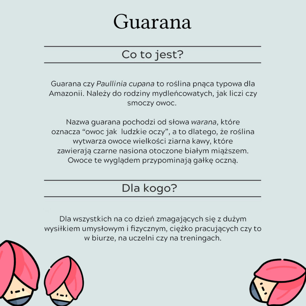 infografika opisująca co to jest guarana i dla kogo sprawdzi się najlepiej