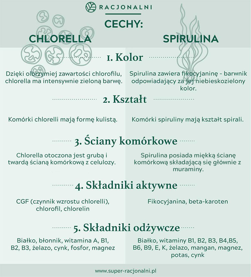 infografika opisująca cechy spiruliny i chlorelli